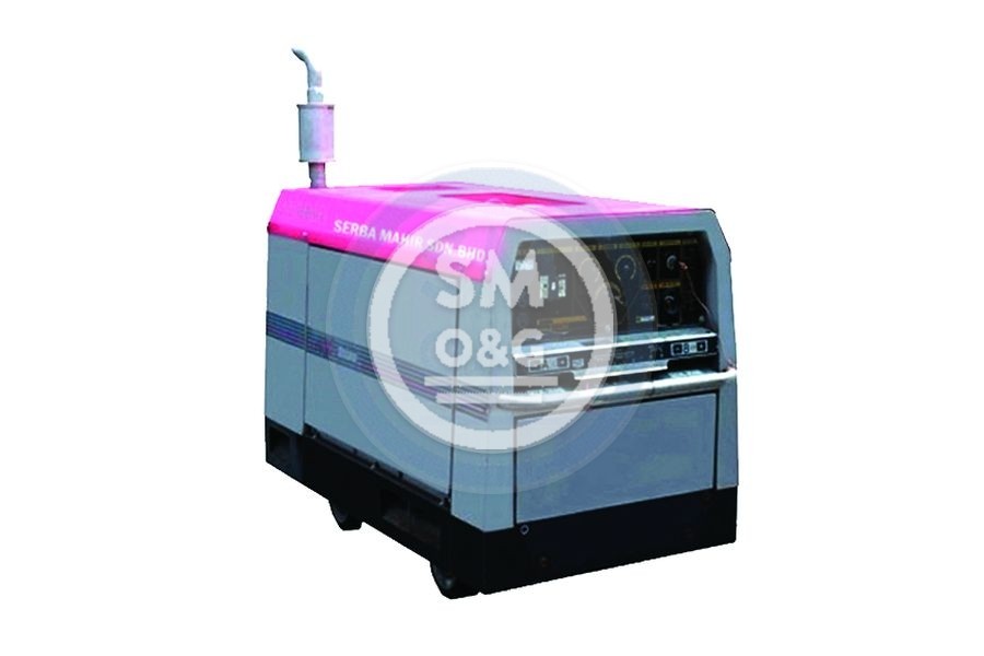 Shindaiwa DGW311DM